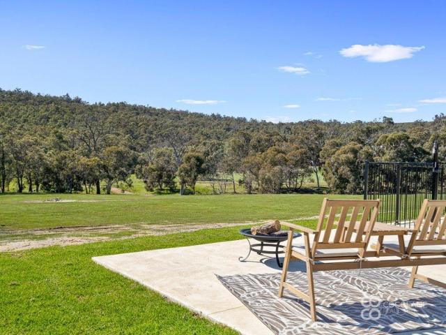 10 Acres of Country Living, Where the State Forest Meets Your Backyard