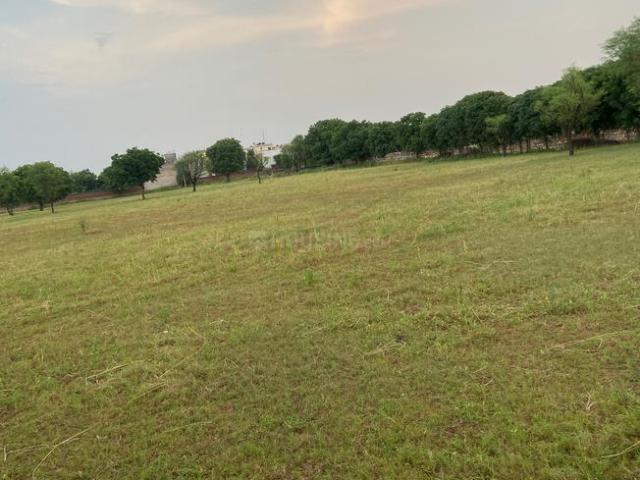 10 BHK Farm House in Chatarpura At Lalya Ka Bas for rent Jaipur. The reference number is 18373886