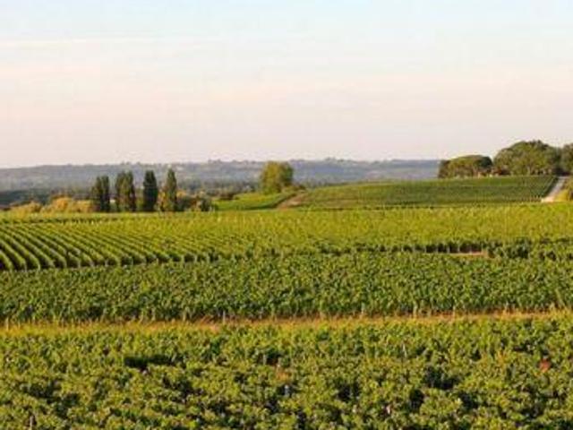 10 chambres, Sauternes Aquitaine 33210 104041272