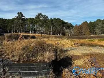 Marshall County, Alabama, Alabama, USA