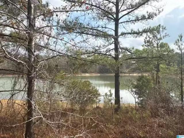 10 COUNTY ROAD 331 # 1, MAPLESVILLE, AL 36750