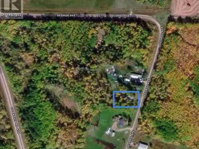 10 George Avenue, Clemenceau, SK, S0E 0Y0 vacant land for sa.