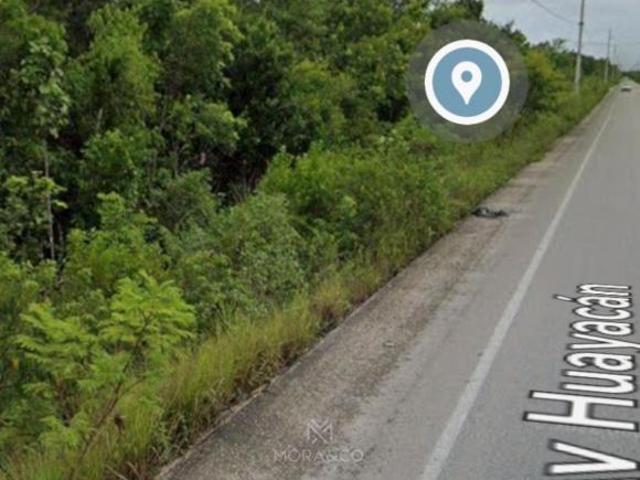 10 HA. EN VENTA SOBRE AV. HUAYACAN OPORTUNIDAD DE INVERSIÓN
