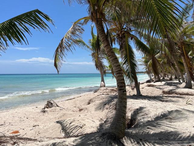 10 Ha Prime Oceanfront Land for Sale Riviera Maya Mexico