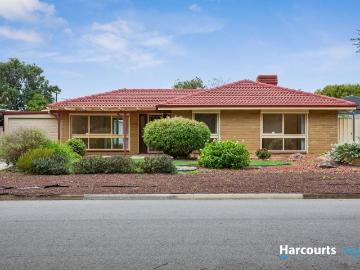 10 Hammond Avenue, MORPHETT VALE, SA 5162