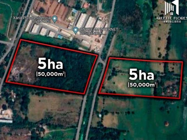 10 HECTÁREAS EN VENTA EN MATA DE PITA VERACRUZ | ARLETTE FLORES