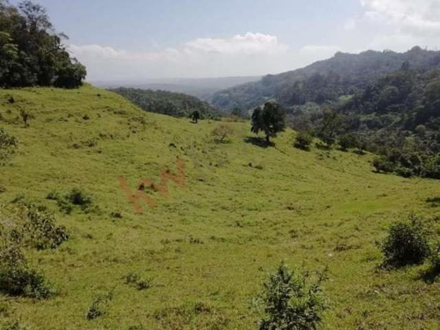10 Hectáreas En Venta. Rancho en San Fernándo, Chiapas