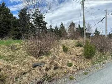 10 Power'S Lane, Marysvale, NL, A0A 2Z0 vacant land for sale.