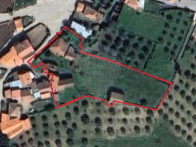 10 quarto, Macedo de Cavaleiros Macedo de Cavaleiros 103328512