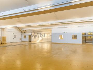 10 Room apartment