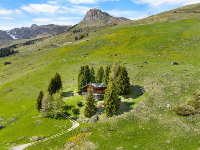 10 Room single house