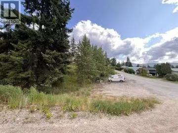 1104 Government Street, Nelson, BC, V1L 3B4 vacant land for.