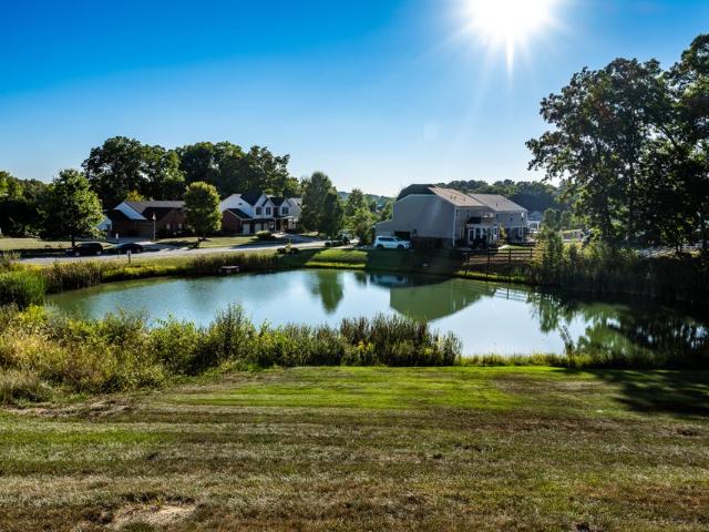 11062 Farmview Drive