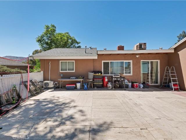 11079 Alder