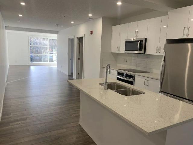 1107 Square Foot, Zero Emissions, 2 Bedroom 2 Bath Condo in Belgravia — 2 Bedrooms Condo Unit