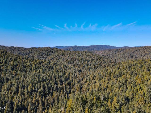 11091 Irmulco Rd, Willits, CA 95490 | MLS #C1 11216