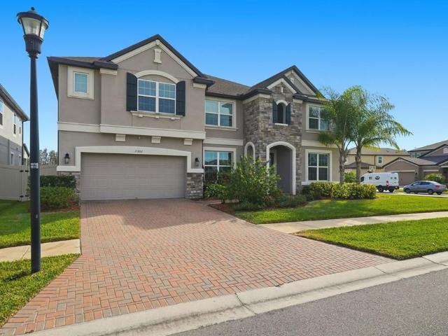 11002 Sundrift Drive, Tampa, US, FL