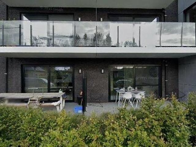 11007 m2 apartment for rent in Zottegem