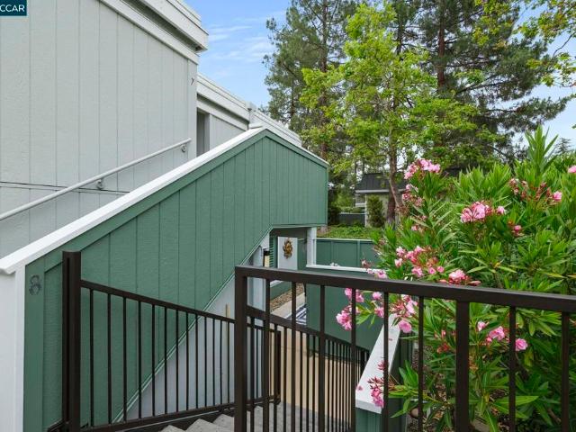 1100 Singingwood 8