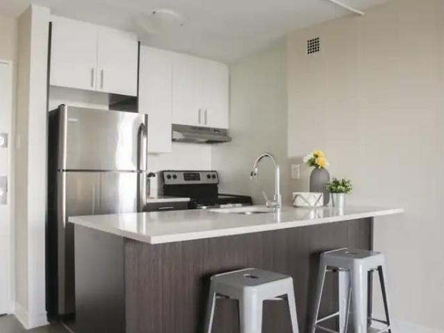 1101 Rachel | 1101 Rue Rachel Est, Montreal · 2 ch