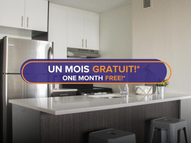 1101 Rachel 1 Bedroom Promotional Price For First 12 Months* Apartment for Rent