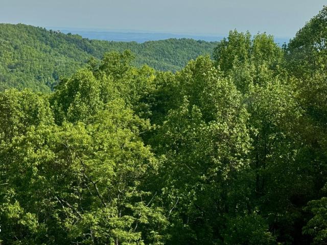 1102 Ski View Drive # UNIT 306