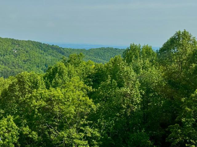 1102 Ski View Drive 306