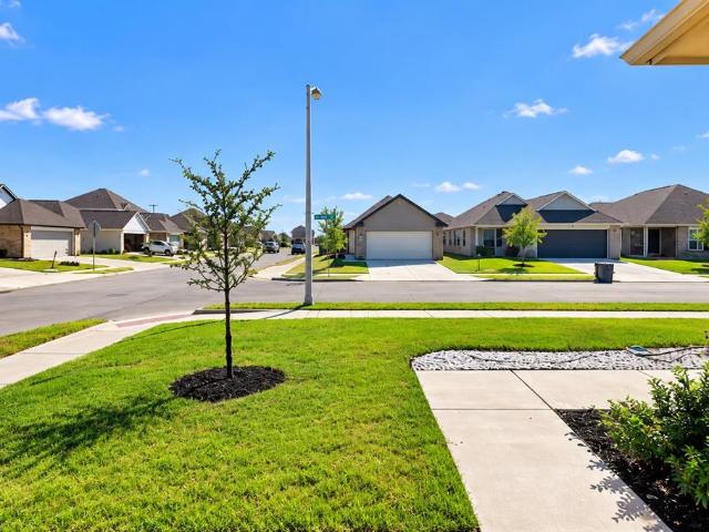 110 Arango Way