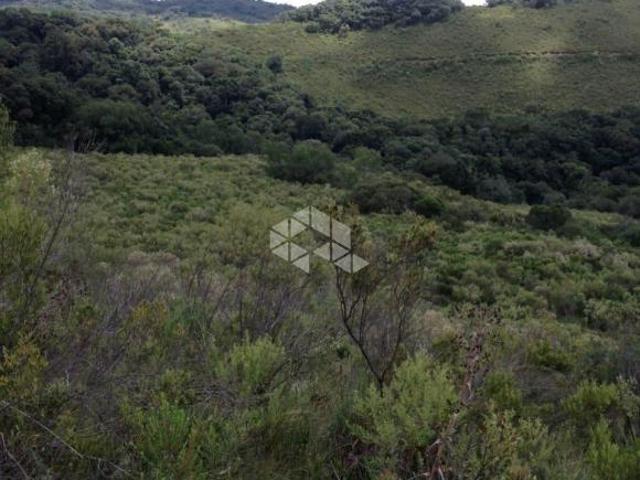 110 HA DE TERRAS EM CAZUZA FERREIRA, SÃO FRANCISCO DE PAULA RS