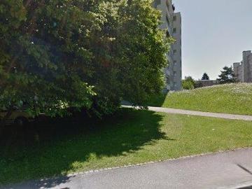 Am Pfisterhölzli, Greifensee, Bezirk Uster, Kanton Zürich