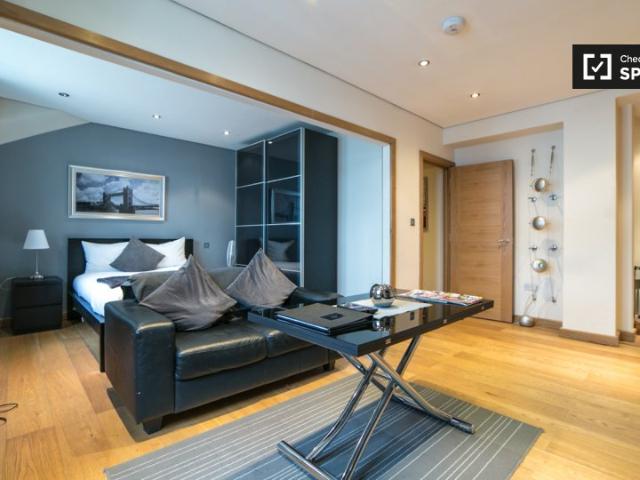110 New Bridge Street, Blackfriars, London, EC4V 6JL, United Kingdom | Studio apartment for rent #143054041 | Rentberry