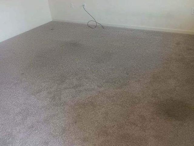 110 Scully Place