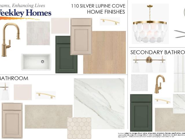 110 Silver Lupine Cv