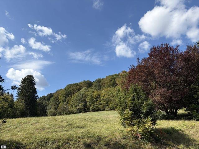 110m2 Mietwohnung im Wienerwald