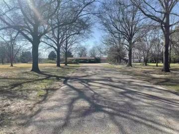1115 N CHARLYNE AVE, BRINKLEY, AR 72021