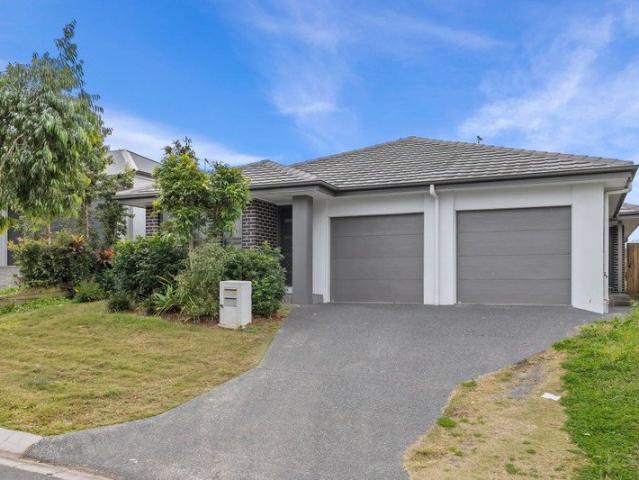 1/115 Palaszczuk Av, Collingwood Park QLD 430