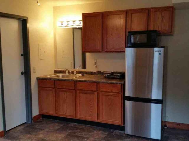 1115 Spring St 3 Bedroom Apartment for Rent at 1115 Spring St, Madison, WI 53715