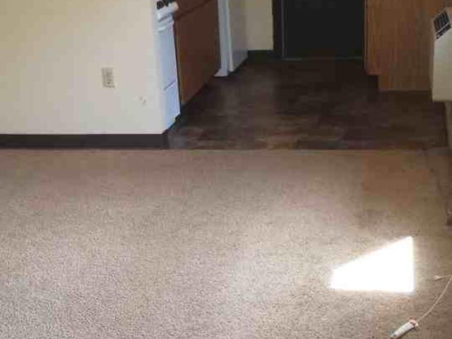 1115 Spring St Studio Apartment for Rent at 1115 Spring St, Madison, WI 53715