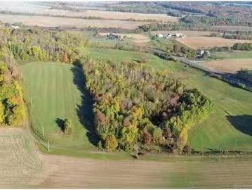 1115 560 Rte, Jacksontown, NB, E7M 3L5 vacant land for sale.