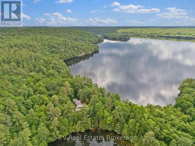 11165 Kushog North, Algonquin Highlands Stanhope, ON, K0M 1J1 house for sale | Listing ID X13545 | Royal LePage