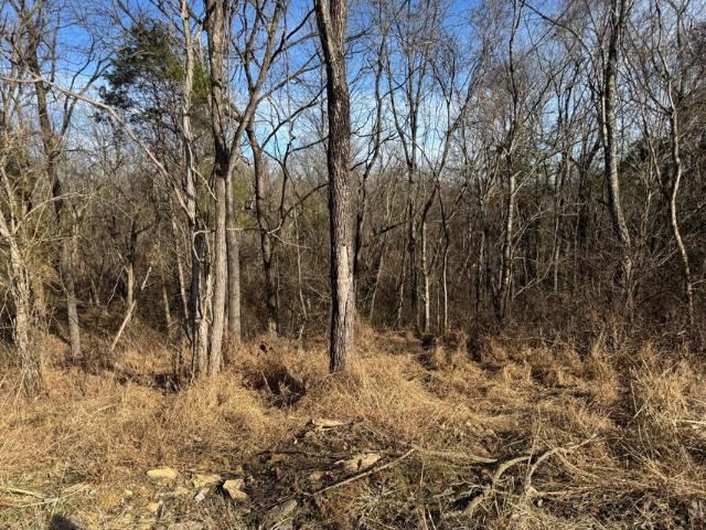 11175 New Columbus Road