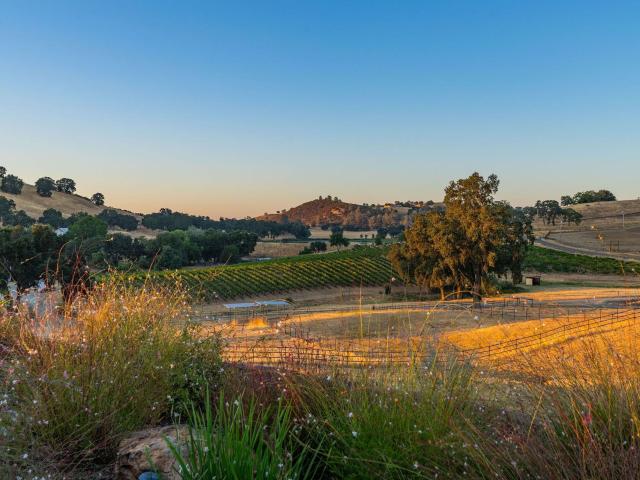 11195 Vintage Road, Ione, US, CA