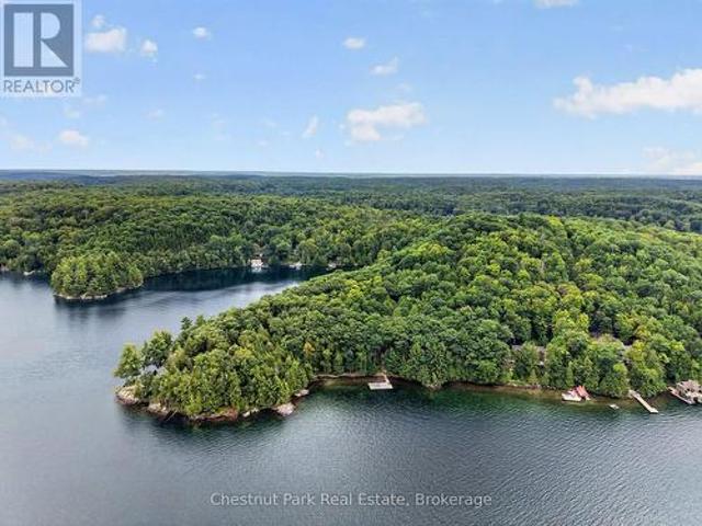 1119 28 Skeleton Lake 2 Rd Road, Muskoka Lakes Watt, ON, P0B 1M0 house for sale | Listing ID X13749 | Royal LePage