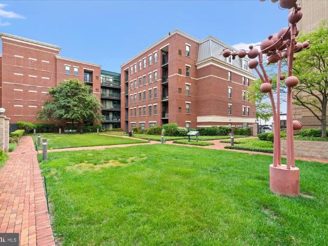 1111 Oronoco Street # 441