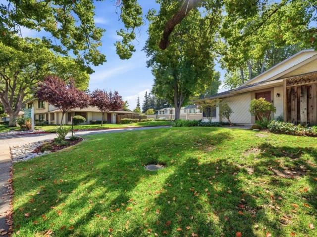 1113 Alonso Drive