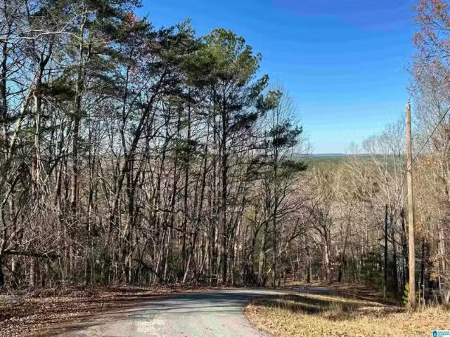 111 HIGHLAND DR # 11, COLUMBIANA, AL 35051