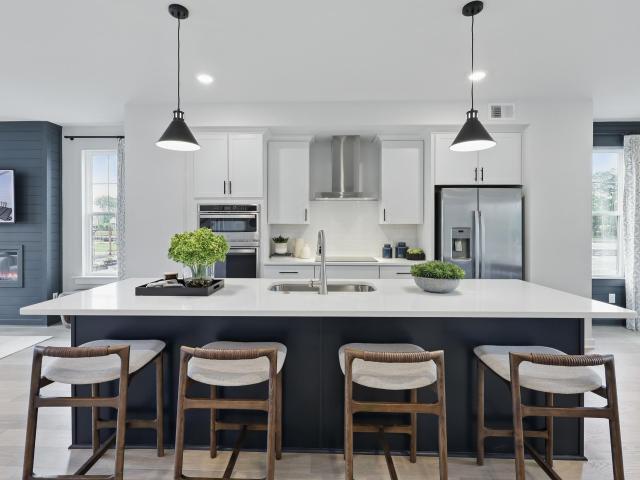 111 Royal Fern Road