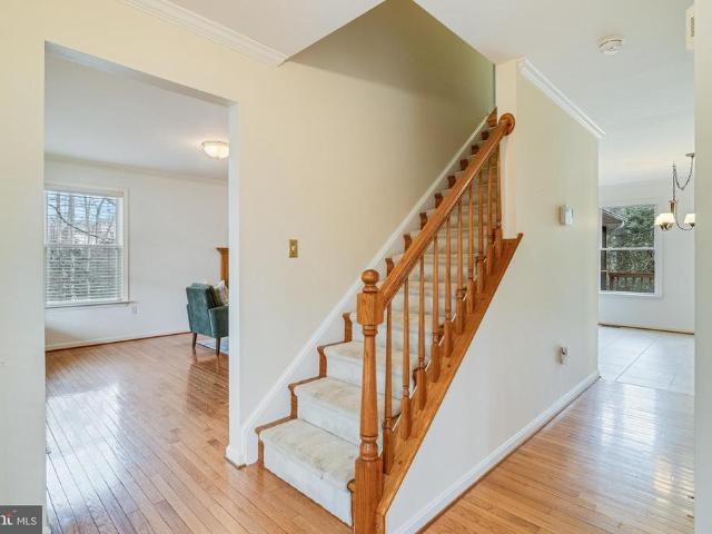 11244 Dancer Court