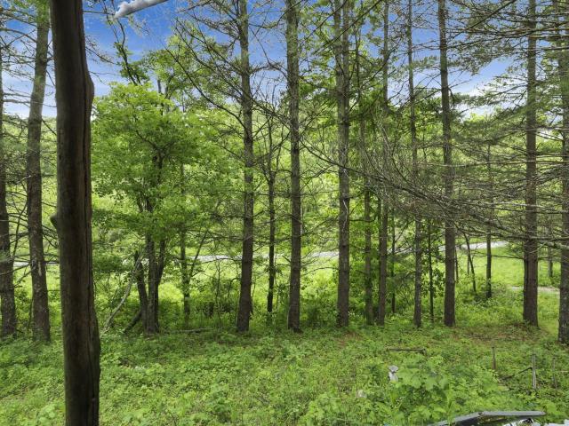 11250 Grass Run Road