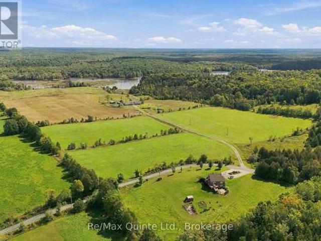 1128 Island Road, Tudor And Cashel Tudor Ward, ON, K0K 2K0 house for sale | Listing ID X13776 | Royal LePage